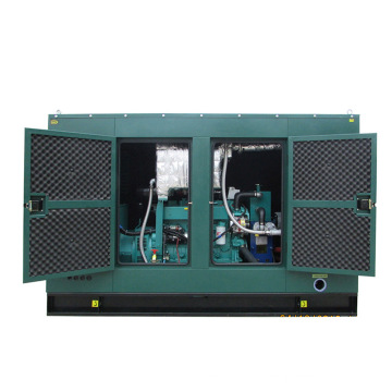 Biogas Electric Genset Open рама звукоизоляционно -защищенное газовое генератор метана, набор питания Man Engine